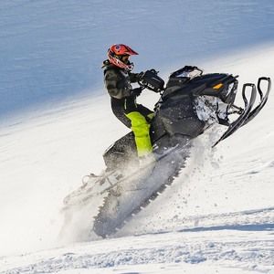 Meet your Posher, Bradford